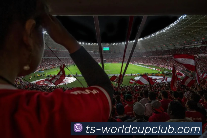 多媒体互动体验